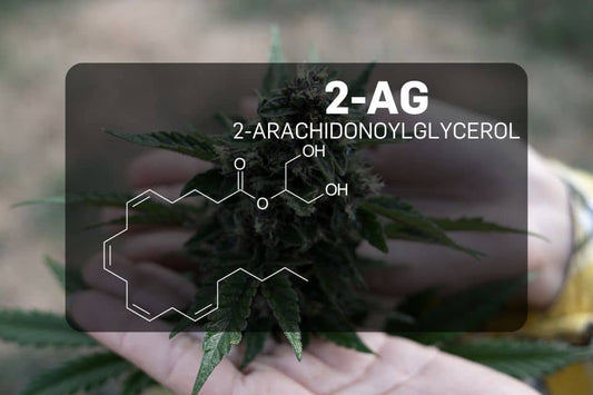 Chemische structuur van 2-Arachidonoylglycerol (2-AG)