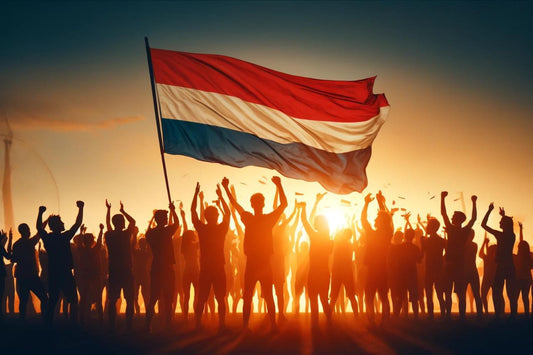 Groep mensen zwaait met de vlag van Nederland