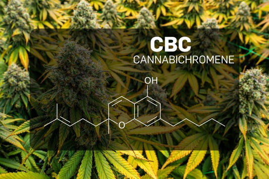 Cannabichromeen (CBC)