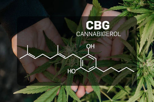 CBG moleculaire afbeelding