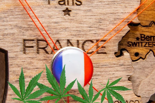 Franse vlag met cannabisbladeren