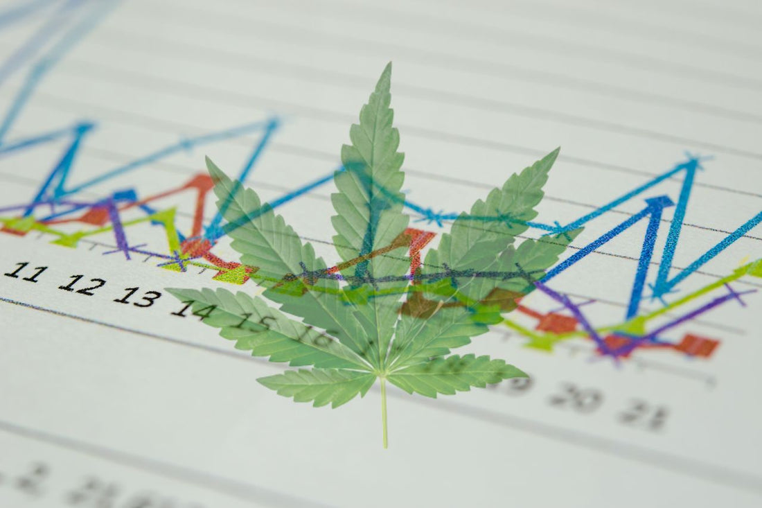 Medische cannabis: Wereldwijde opkomst en invloed