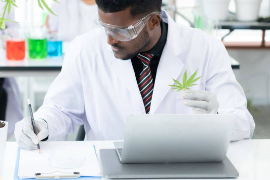 onderzoek naar cannabis