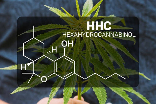 Chemische structuur van HHC (Hexahydrocannabinol)