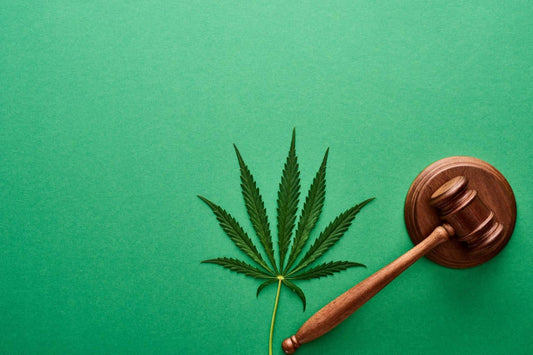 cannabisblad en hamer