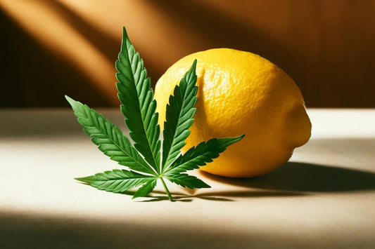 Een citroen en een cannabisblad
