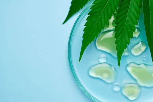 Cannabisbladeren en hennepoliedruppels