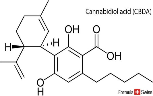  Moleculaire structuur van CBD