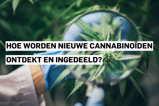 Hoe worden nieuwe cannabinoïden ontdekt en ingedeeld?