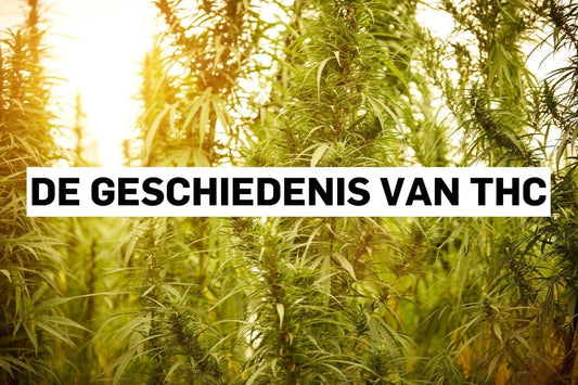 De geschiedenis van THC