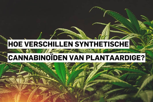 Synthetische cannabinoïden vergeleken met plantaardige cannabinoïden uit natuurlijke bronnen.