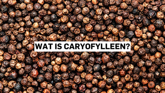 Wat is caryofylleen?
