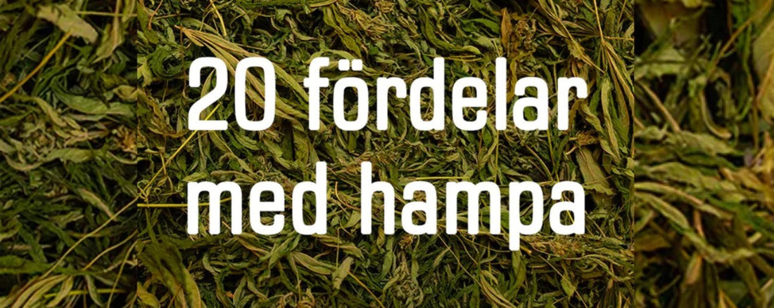 20 voordelen van hennep