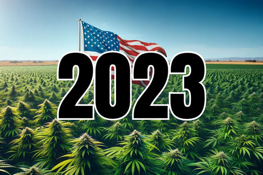 Amerikaanse vlag in een cannabisveld