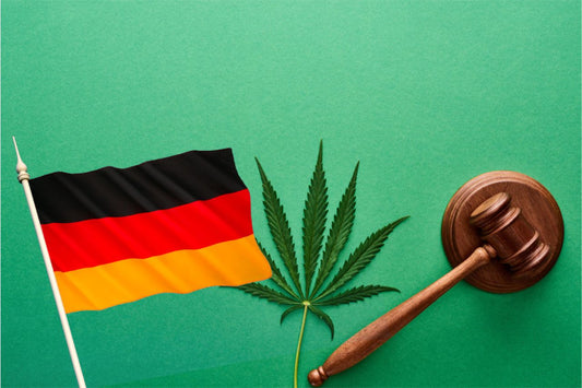 Duitse vlag, cannabisblad, voorzittershamer