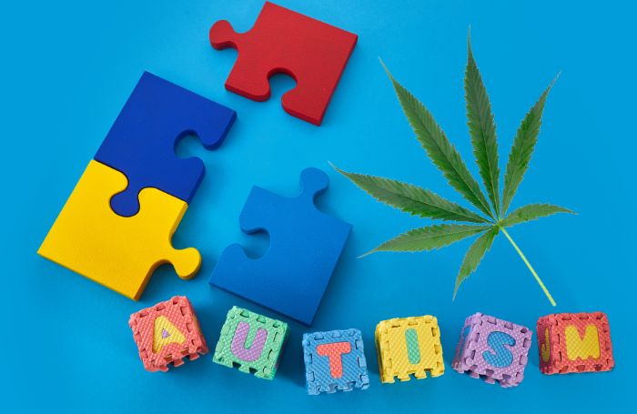 Een puzzel die autisme symboliseert en een cannabisblad