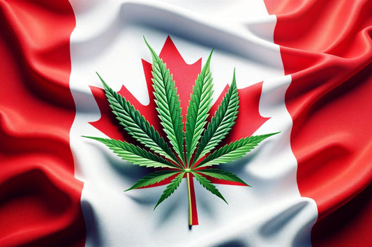 Cannabisblad voor de Canadese vlag