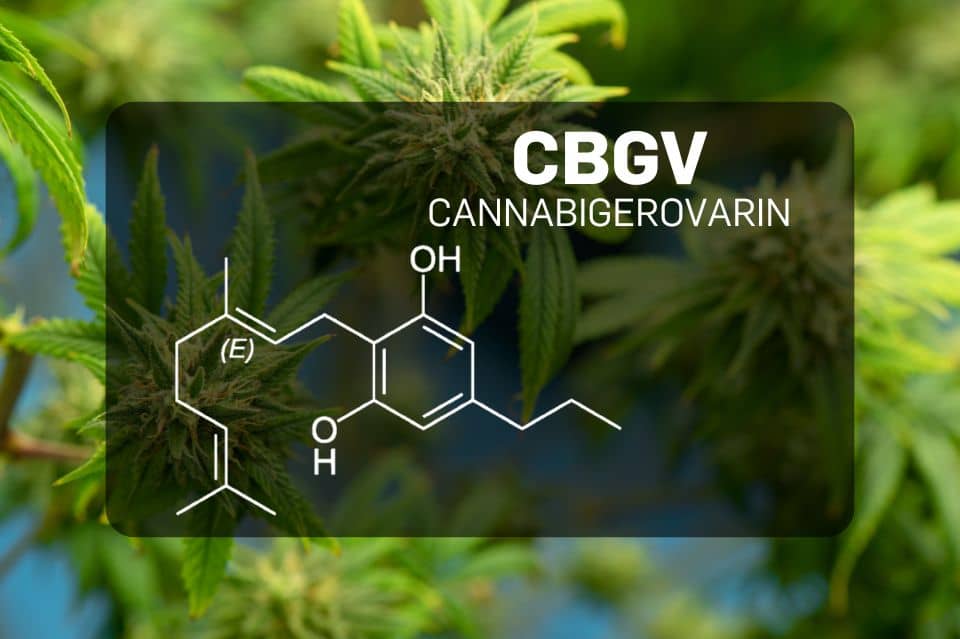 Chemische structuur van Cannabigerivarine (CBGV)