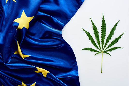 De prevalentie van cannabis in Europa