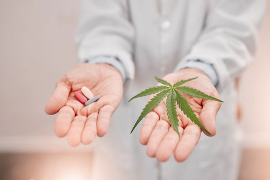 Cannabis kan trek in opioïden verminderen