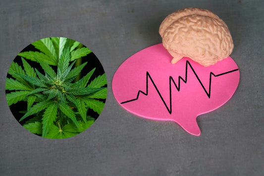 Cannabis voor neurologische behandeling