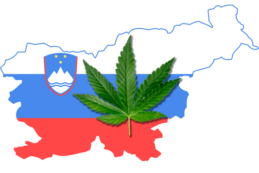 Cannabis tegenstanders in Slovenië