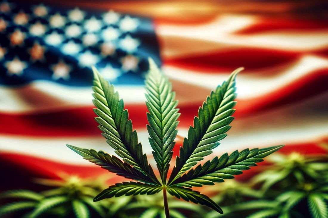 Cannabisblad voor de vlag van de VS