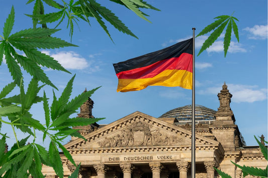 Cannabisblad voor de Rijksdag