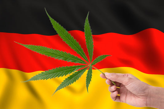 Wietblad voor Duitse vlag