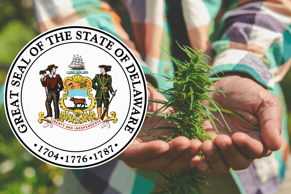 Delaware legaliseert cannabis voor volwassenen