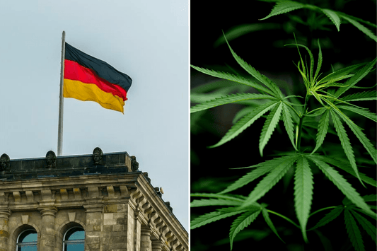 Duitsland kijkt naar Canada's cannabis succes