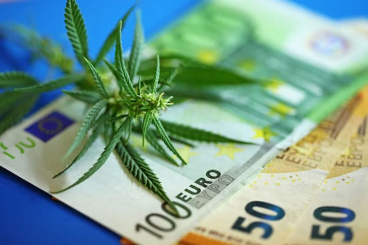 Duitsland legaliseert cannabis 