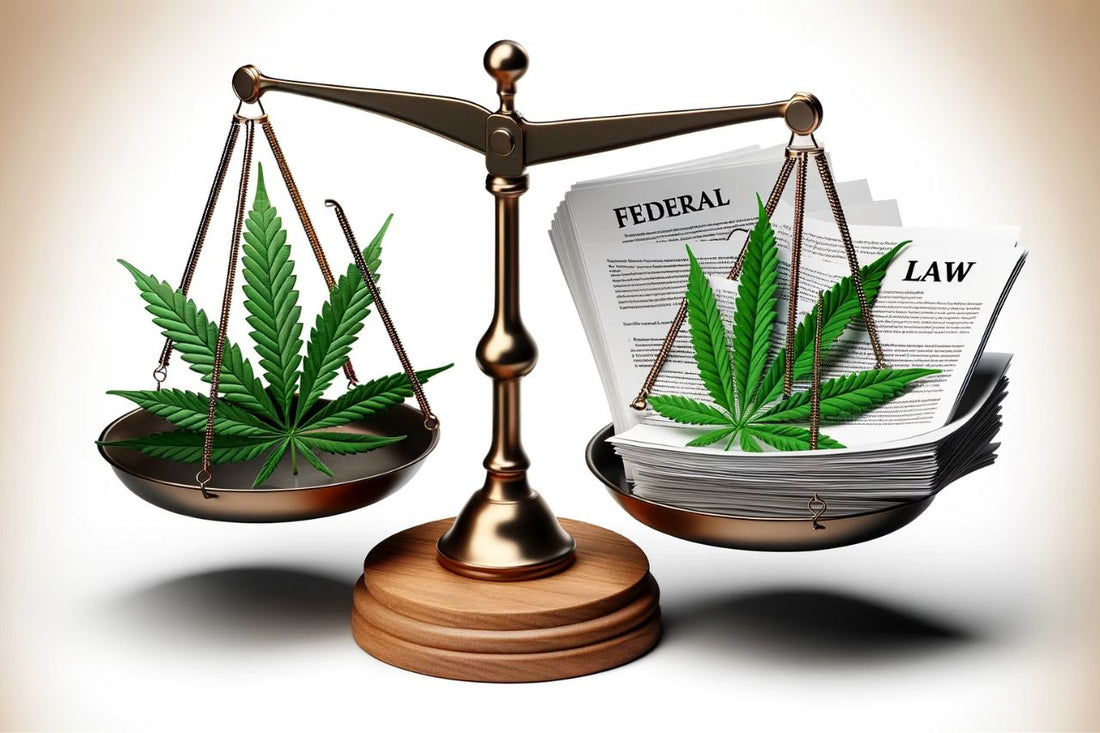 Evenwicht tussen wetgeving en cannabis