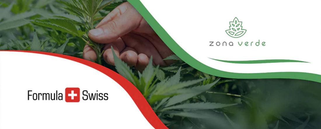 Formula Swiss partnert met de grootste cannabis retailer in Roemenië