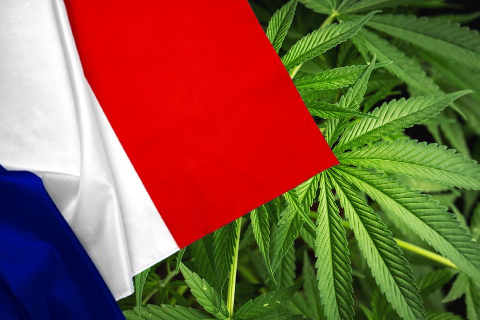 Vlag van Frankrijk voor cannabisbladeren