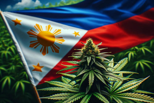 Cannabisplant en Filippijnse vlag