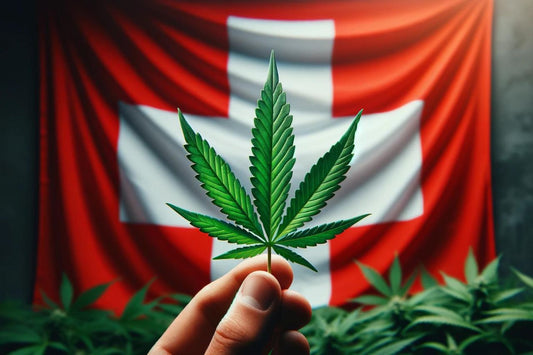 Cannabisblad op Zwitserse vlag