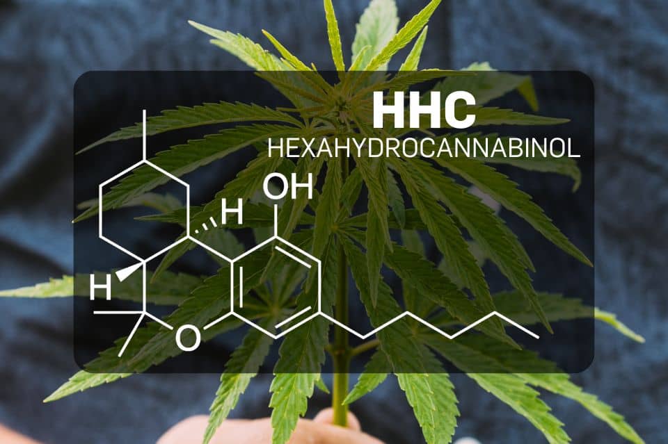 Chemische structuur van HHC (Hexahydrocannabinol)
