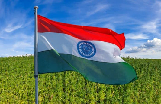 Wapperende vlag van India op een hennepveld