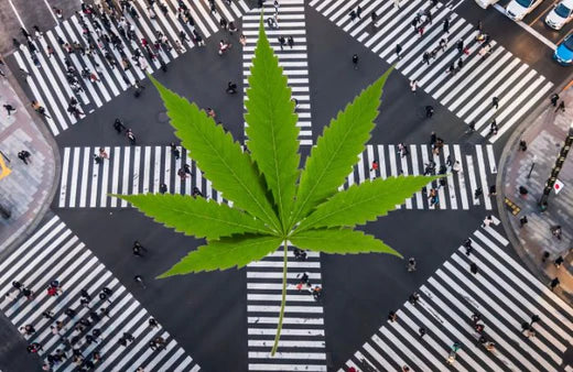 Ginza, Tokio. en een cannabisblad