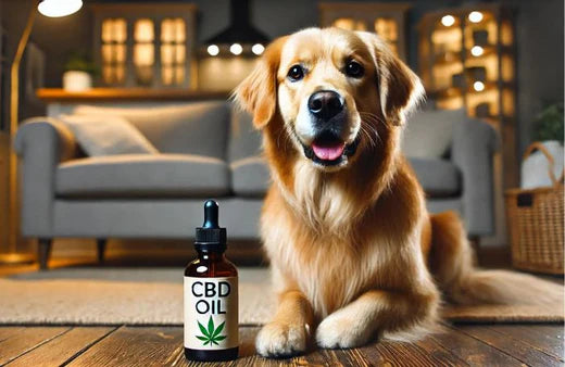 Hond en een flesje CBD-olie