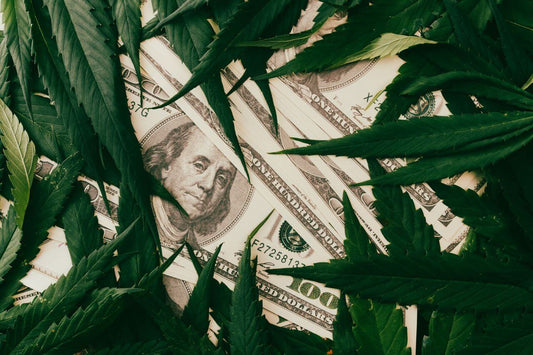 Dollar en cannabisbladeren