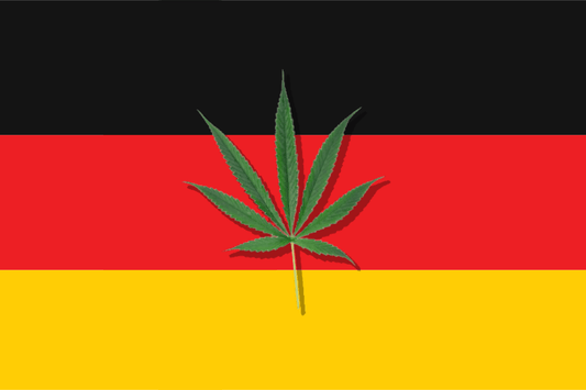 Legalisering van cannabis in Duitsland