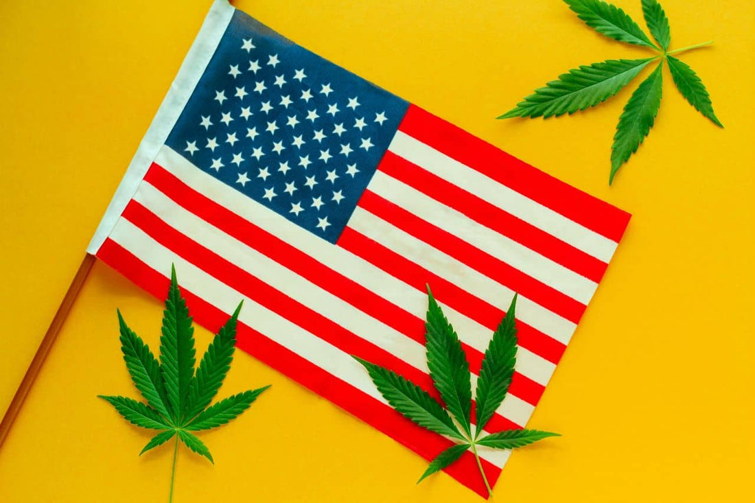 Amerikaanse vlag met cannabisbladeren