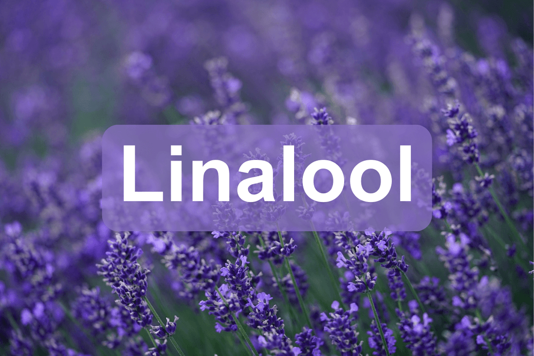 Linalool: De aromatische en therapeutische terpeen in cannabis