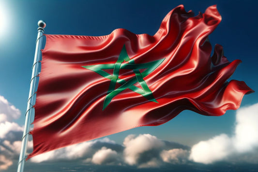 Zwaaiende vlag van Marokko
