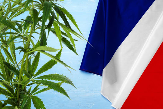 cannabisplant en vlag van Frankrijk