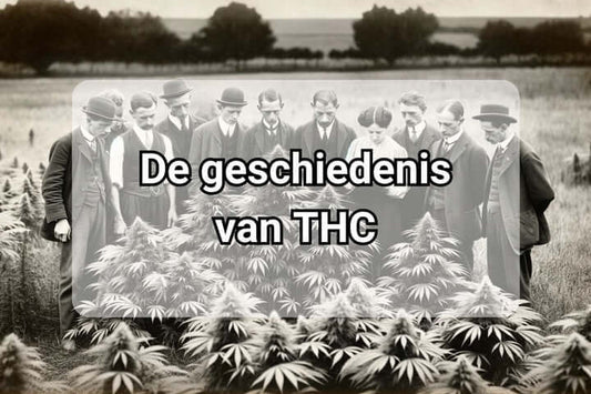 De geschiedenis van THC