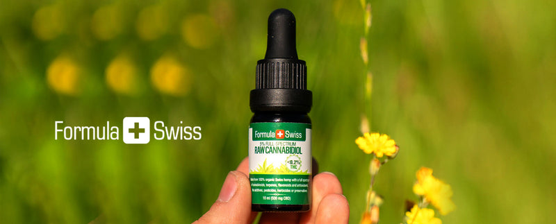 CBD RAW oils and CBDA: chemistry and early research