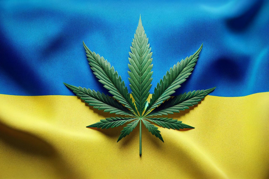 Oekraïense vlag en cannabisblad